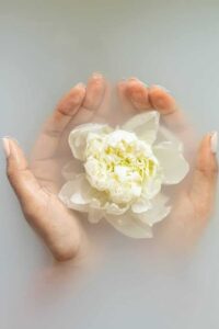 imagen de manos sosteniendo una flor de loto blanco en el agua