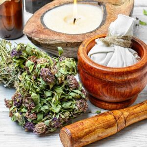 plantas medicinales sobre una mesa para comenzar un taller de plantas medicinales para depurar el organismo
