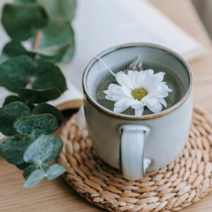 taza de infusión y plantas medicinales para un taller de plantas para el sistema nervicoso