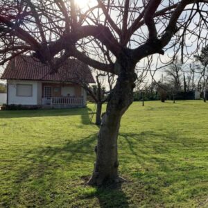 vista del jardin y la casa donde tienen lugar las jornadas culinarias y experiencias de bienestar