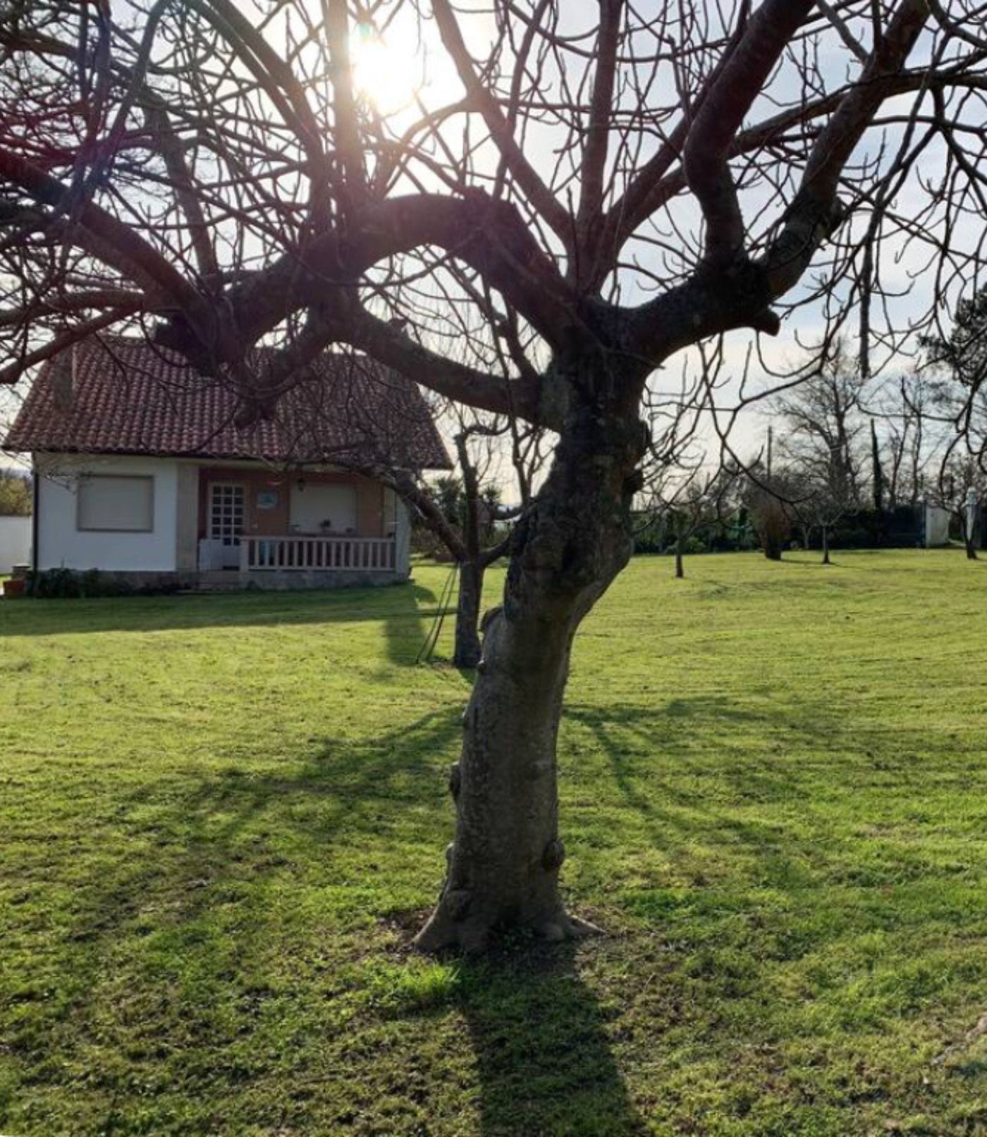 vista del jardin y la casa donde tienen lugar las jornadas culinarias y experiencias de bienestar